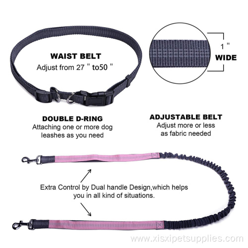 Leash Dual Handle for Control Shock Absorbing Bungee